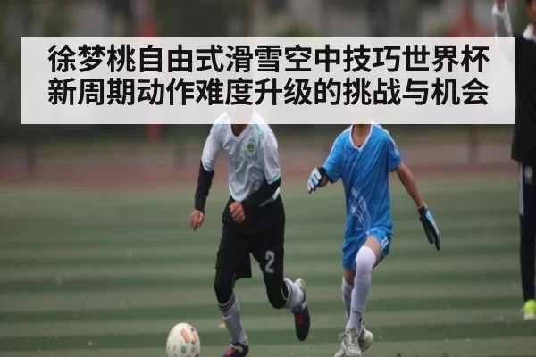 徐梦桃自由式滑雪空中技巧世界杯新周期动作难度升级的挑战与机会